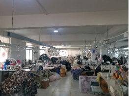 【永遠跟黨走 奮進新時代】“三下鄉”社會實踐:全面推進生態建設 電商助農振興鄉村