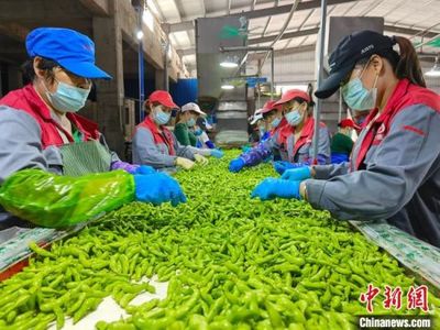 海南黎村苗寨美 鄉親奮力奔小康